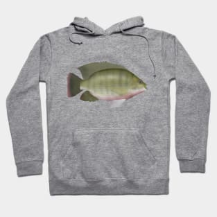 Redbreast Tilapia Hoodie